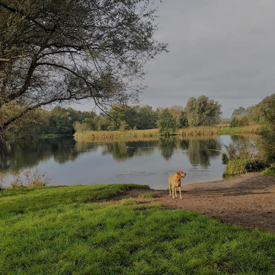 In De Bocht Villa Heiloo Kültér fotó